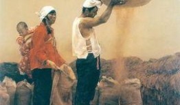 老笨在线观看,一部揭示人生百态的在线观看佳作